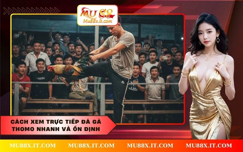 Cách Xem Trực Tiếp Đá Gà Thomo Nhanh và Ổn Định