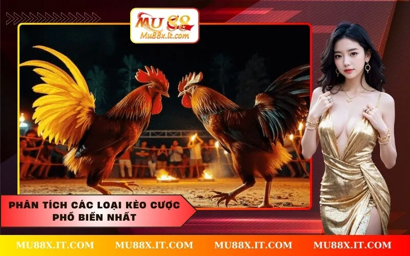 Phân tích các loại kèo cược phổ biến nhất