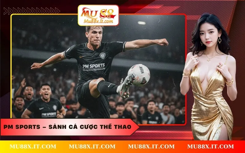 PM Sports – Sảnh Cá Cược Thể Thao