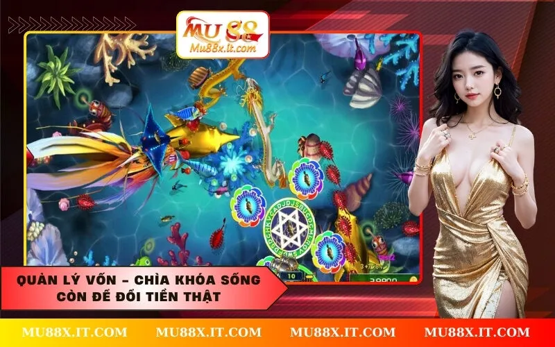 Quản lý vốn - Chìa khóa sống còn để đổi tiền thật