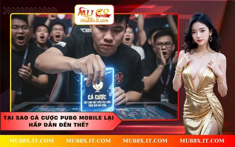 Tại Sao Cá Cược PUBG Mobile Lại Hấp Dẫn Đến Thế