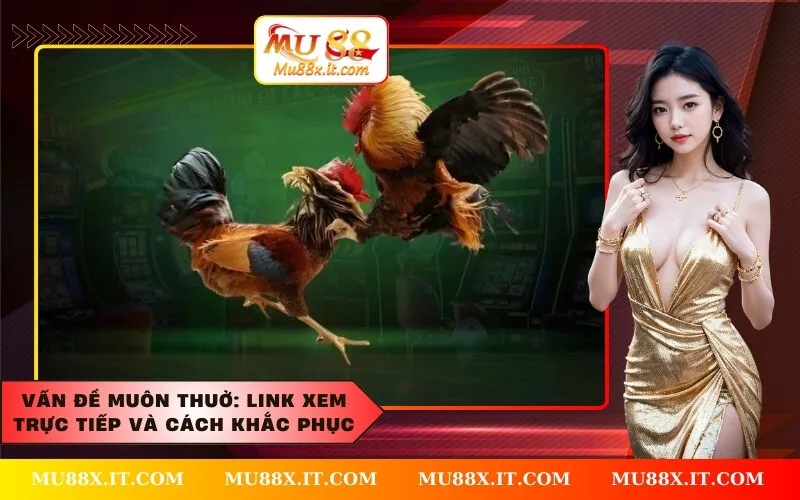 Vấn đề muôn thuở Link xem trực tiếp và cách khắc phục